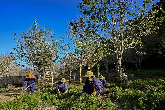 Thị trường nguyên liệu dược phẩm với hàng loạt vụ nhập lậu