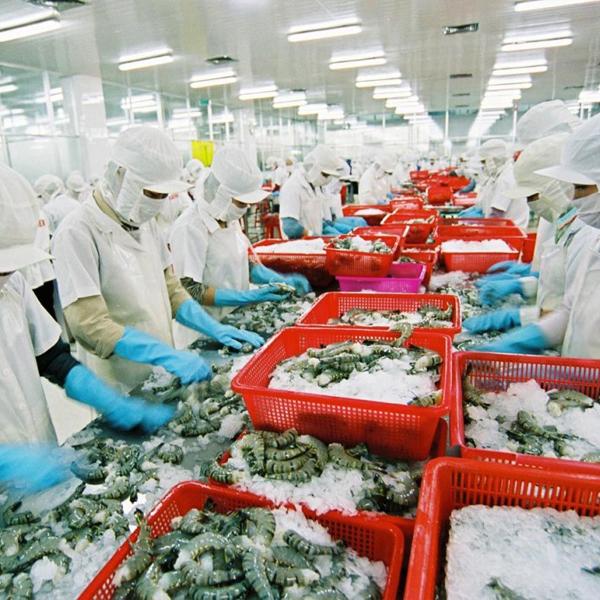 Tư vấn phòng sạch thực phẩm đạt chuẩn GMP - Phòng sạch Anh Khang