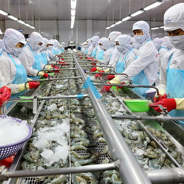 Phòng sạch thực phẩm là gì? Tiêu chuẩn phòng sạch thực phẩm