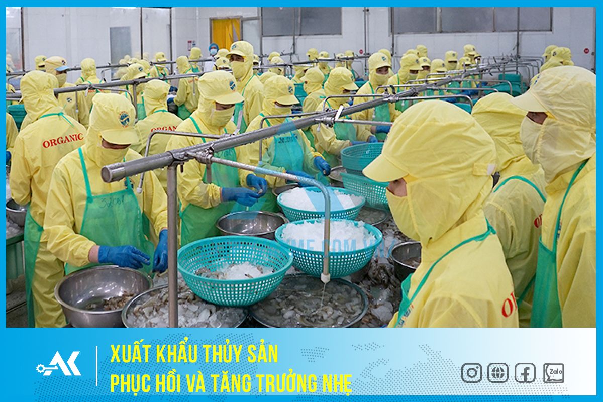 Xuất khẩu thủy sản phục hồi và tăng trưởng nhẹ