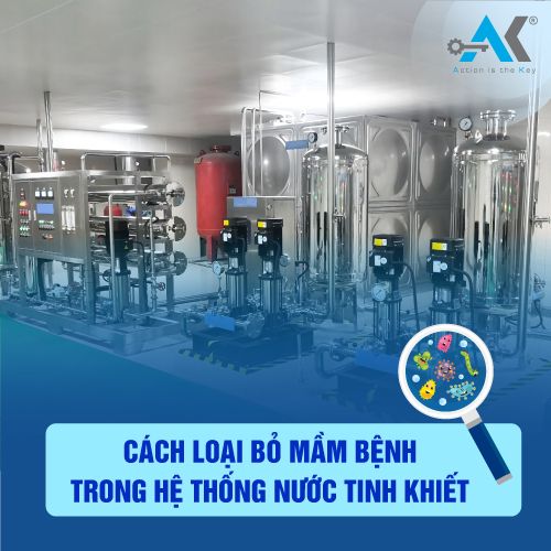 Cách loại bỏ mầm bệnh trong hệ thống nước tinh khiết