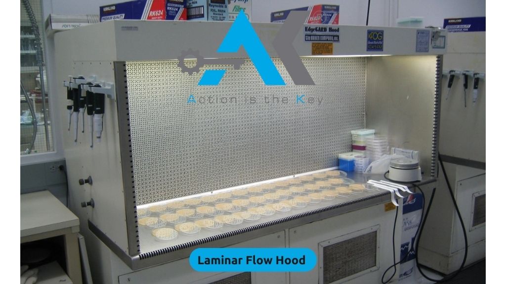 Laminar flow hood