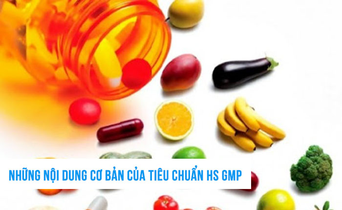 Những nội dung cơ bản của tiêu chuẩn HS GMP