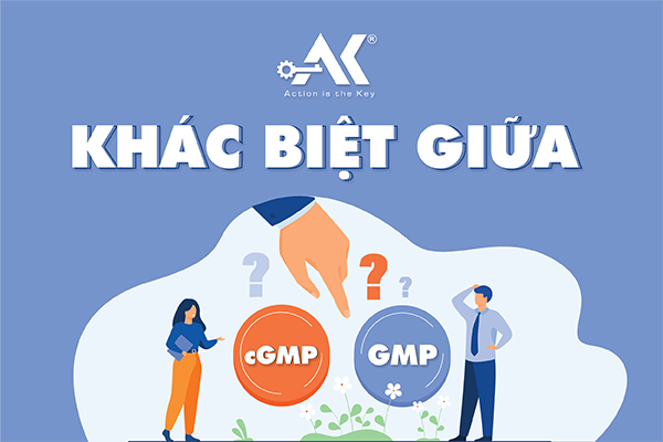 khác biệt giữa chứng nhận GMP và cGMP