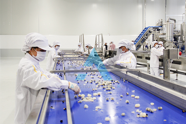 tiêu chuẩn phòng sạch thực phẩm trong sản xuất 